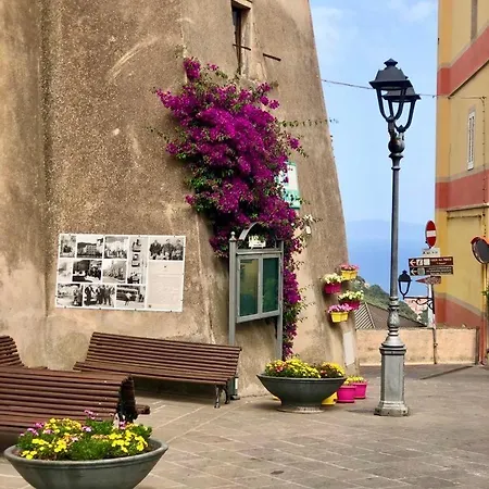 Apartamento Simona Elba