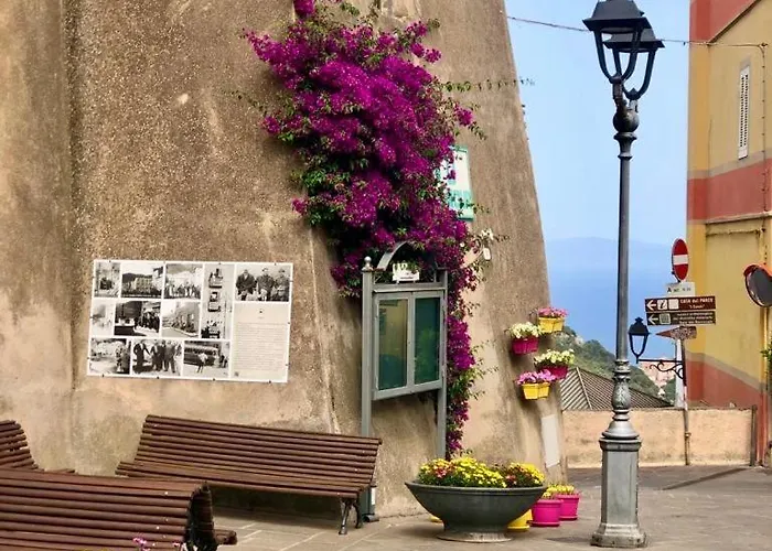 Apartamento Simona Elba